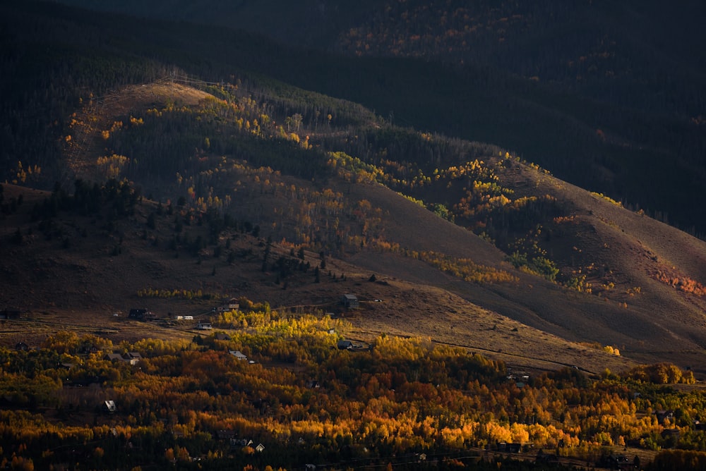 aerial photo of houses on hill surrounded with trees during daytime photo