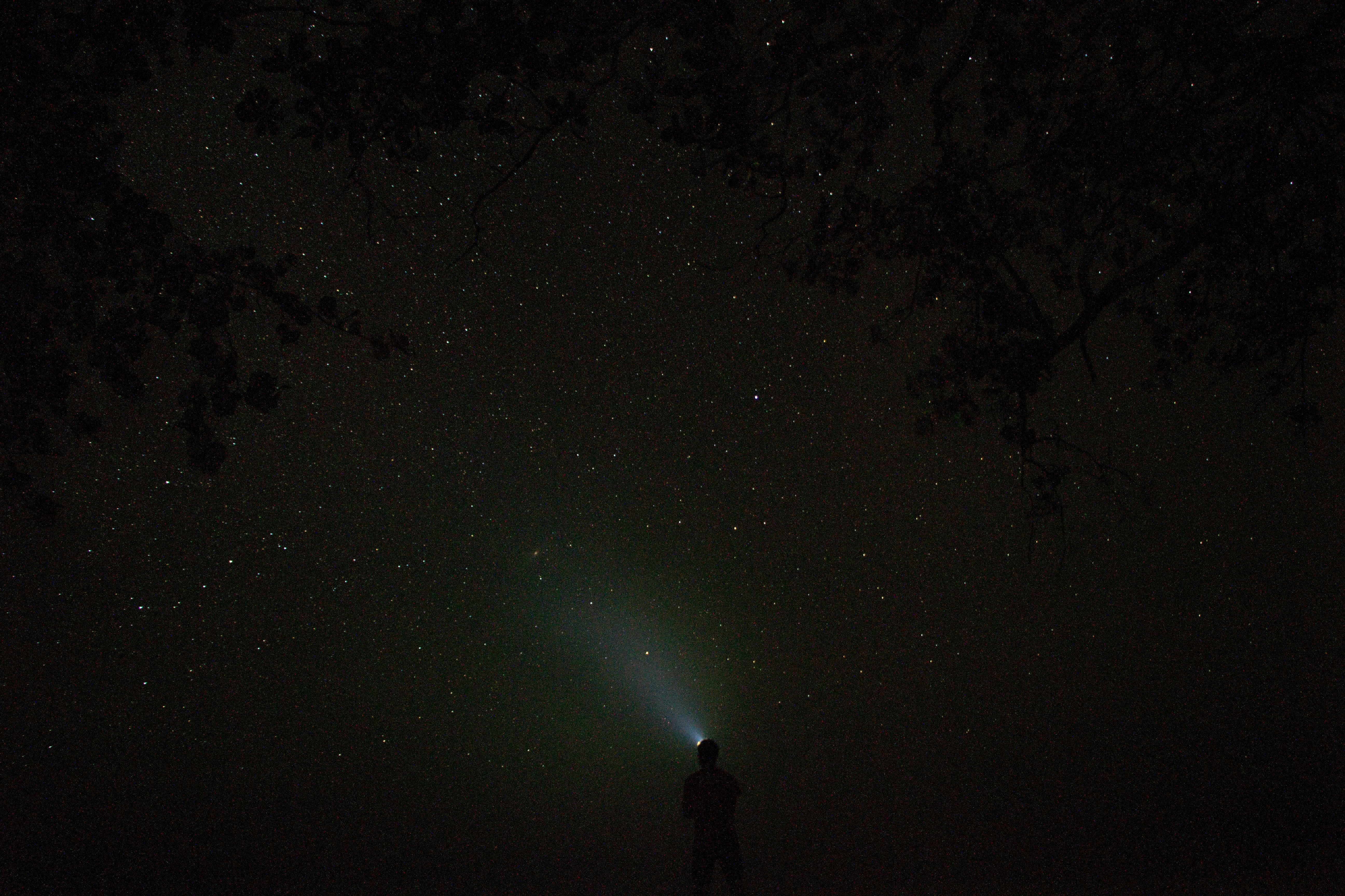 silhouette of person pointing his flashlight to the sky during nighttime photo