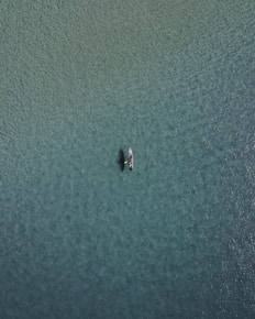 white paddle boat on body of water