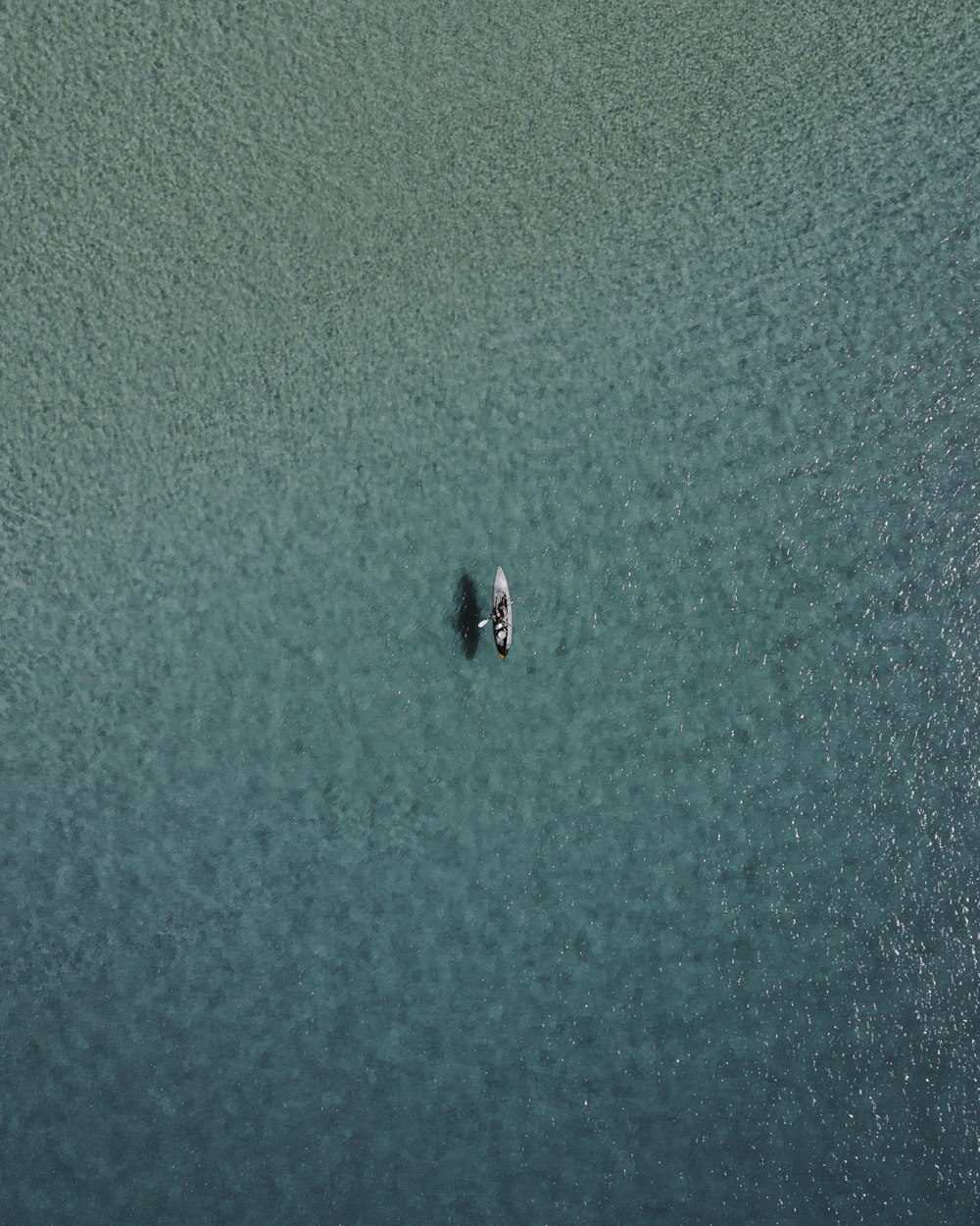 pédalo blanc sur plan d’eau