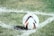 white, orange, and black soccer ball on field