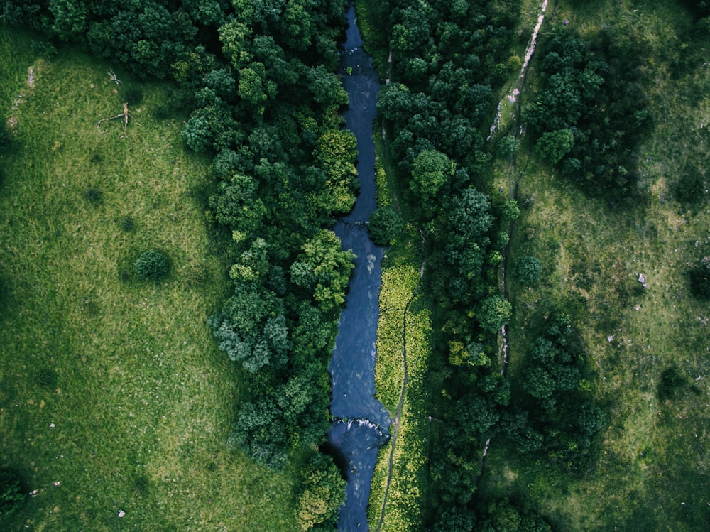 Vogelperspektivenfotografie des Flusses zwischen Bäumen und grünem Gras