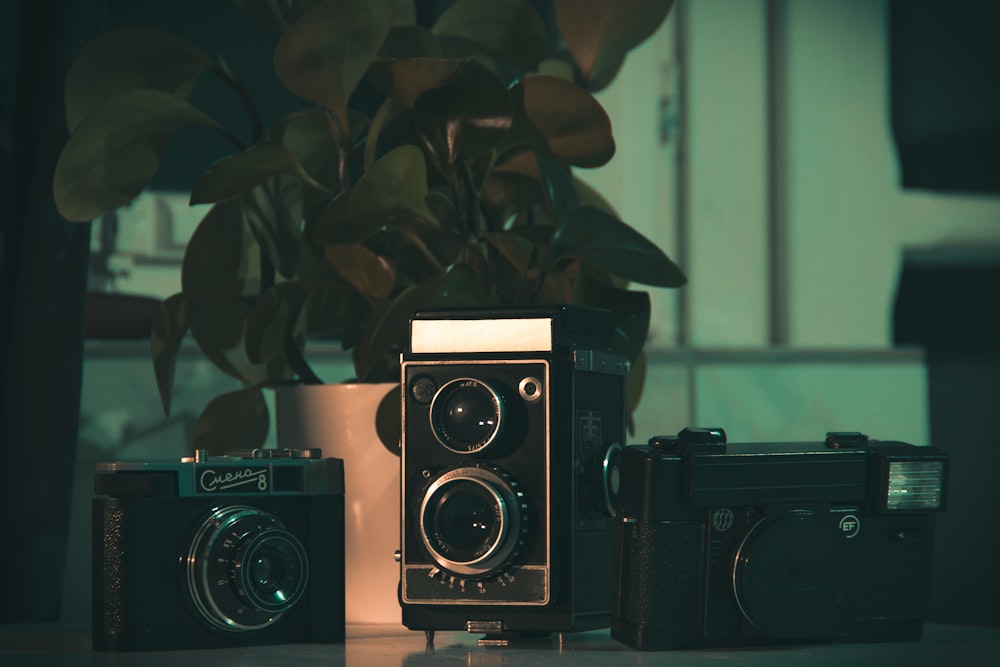 three black cameras on beige surface