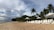 A tranquil beach scene with rows of white lounge chairs facing the ocean. Palm trees are scattered along the edge of the sandy shore. A series of white canopies provide shade. The sky is partly cloudy, with a hint of overcast in the distance.