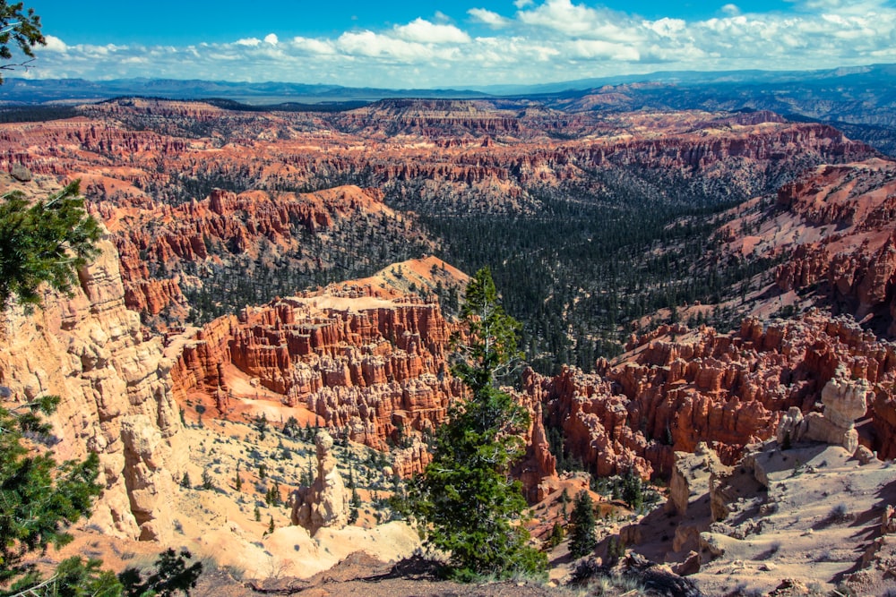 aerial photography of rock formations