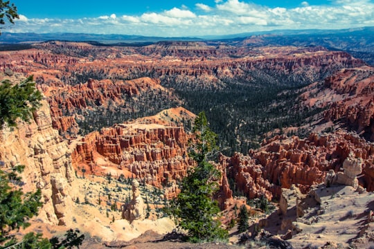 aerial photography of rock formations in Bryce Canyon National Park United States