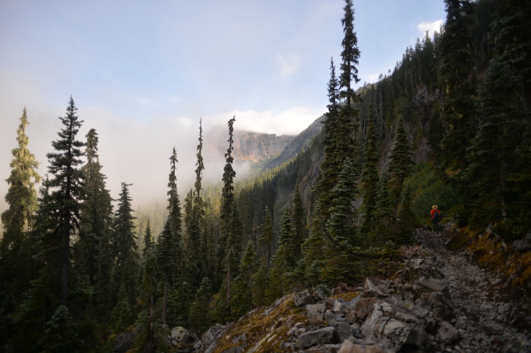 travelers stories about Tropical and subtropical coniferous forests in Snoqualmie Pass, United States