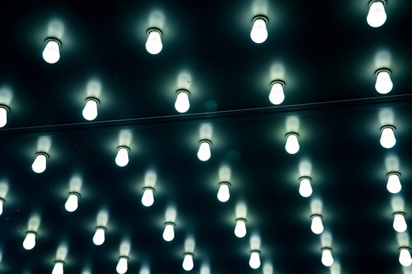 Rows of LED light bulbs.