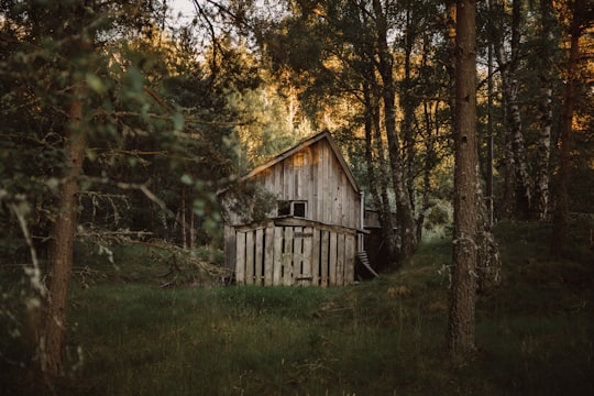 white wooden shed surrounded by trees in Aviemore United Kingdom