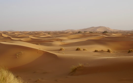 desert field in Erg Chebbi Morocco