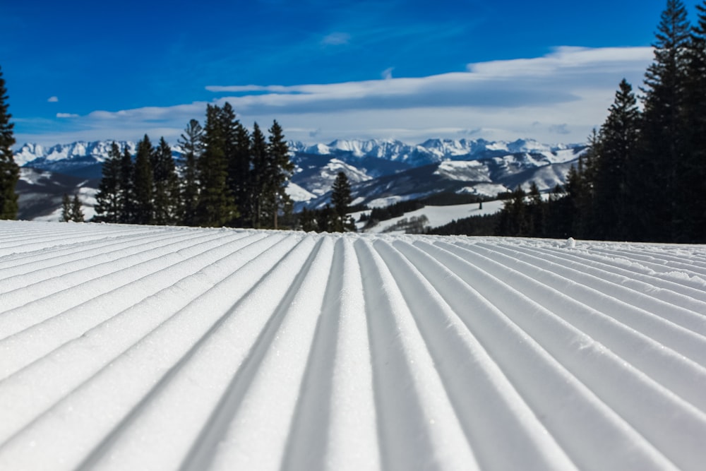 white corrugated metal sheet at daytime