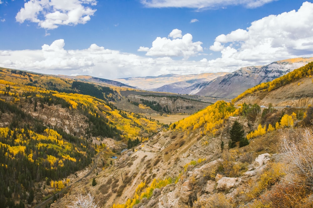 mountain cover with trees photography