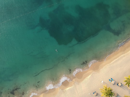 aerial photo of beach at daytime in Ocho Rios Jamaica