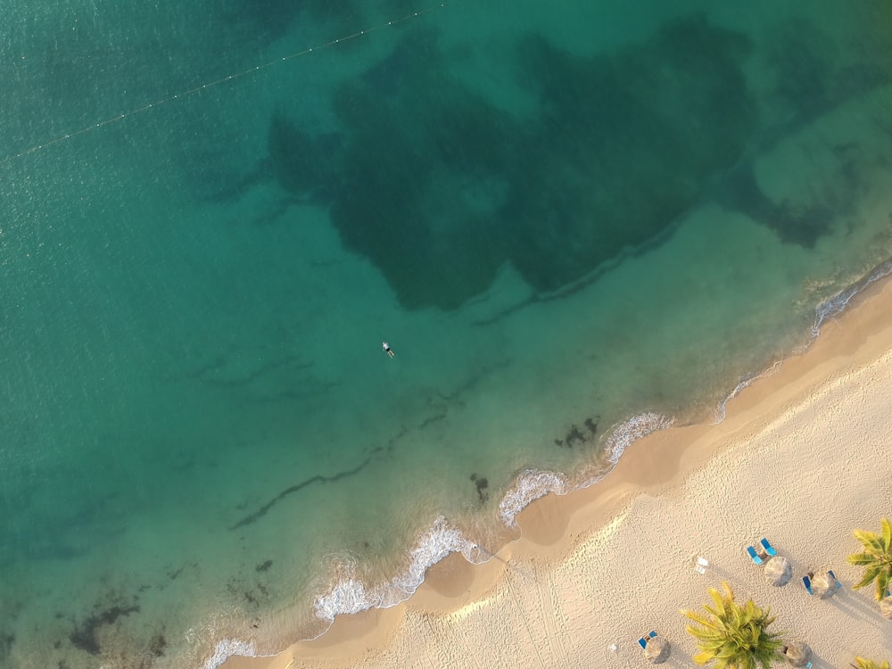 aerial photo of beach at daytime