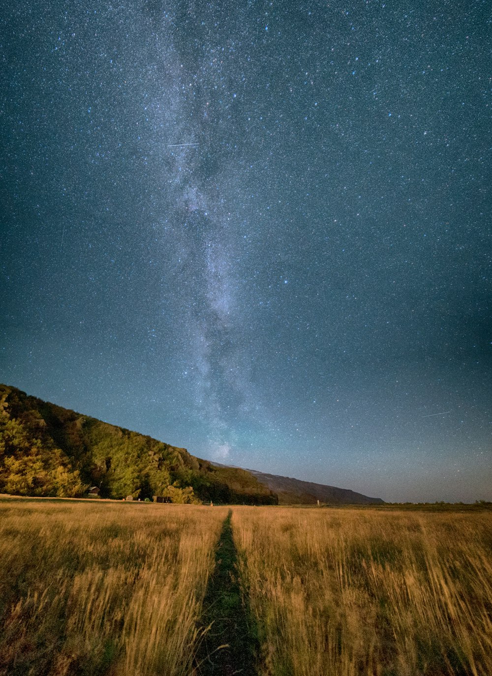 lawn field under gray sky during nighttime