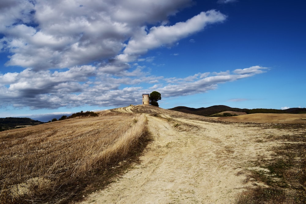 brown field under blue sky and white clouds during daytime