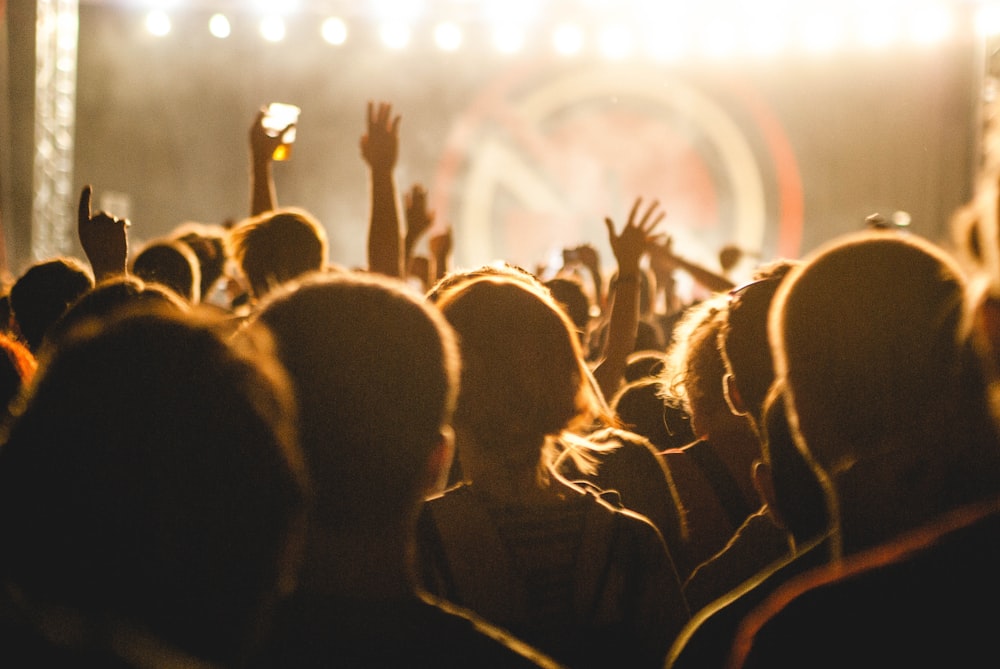 people gathering at concert