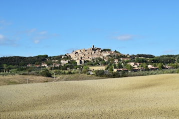 A picturesque hilltop village surrounded by lush green trees and fields under a clear blue sky. The village consists of tightly clustered stone buildings with terracotta roofs, adding to the rustic charm. The landscape in the foreground is a mix of cultivated areas and natural vegetation.