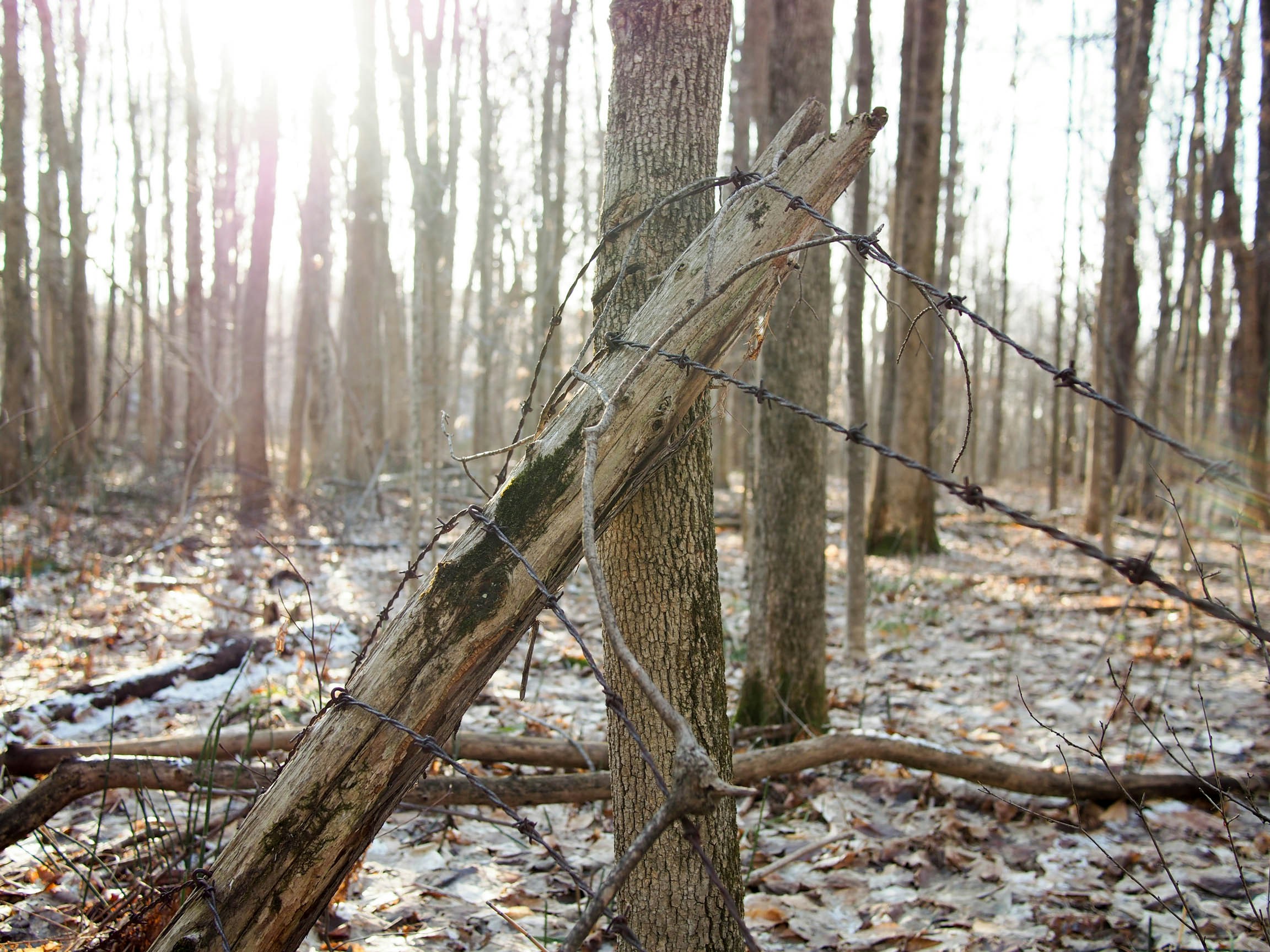 photo 1505437262918 172605ad1e61?ixlib=rb 4.0