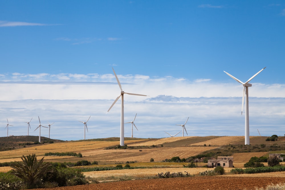 Weiße Windmühlen unter blauem Himmel während des Tages