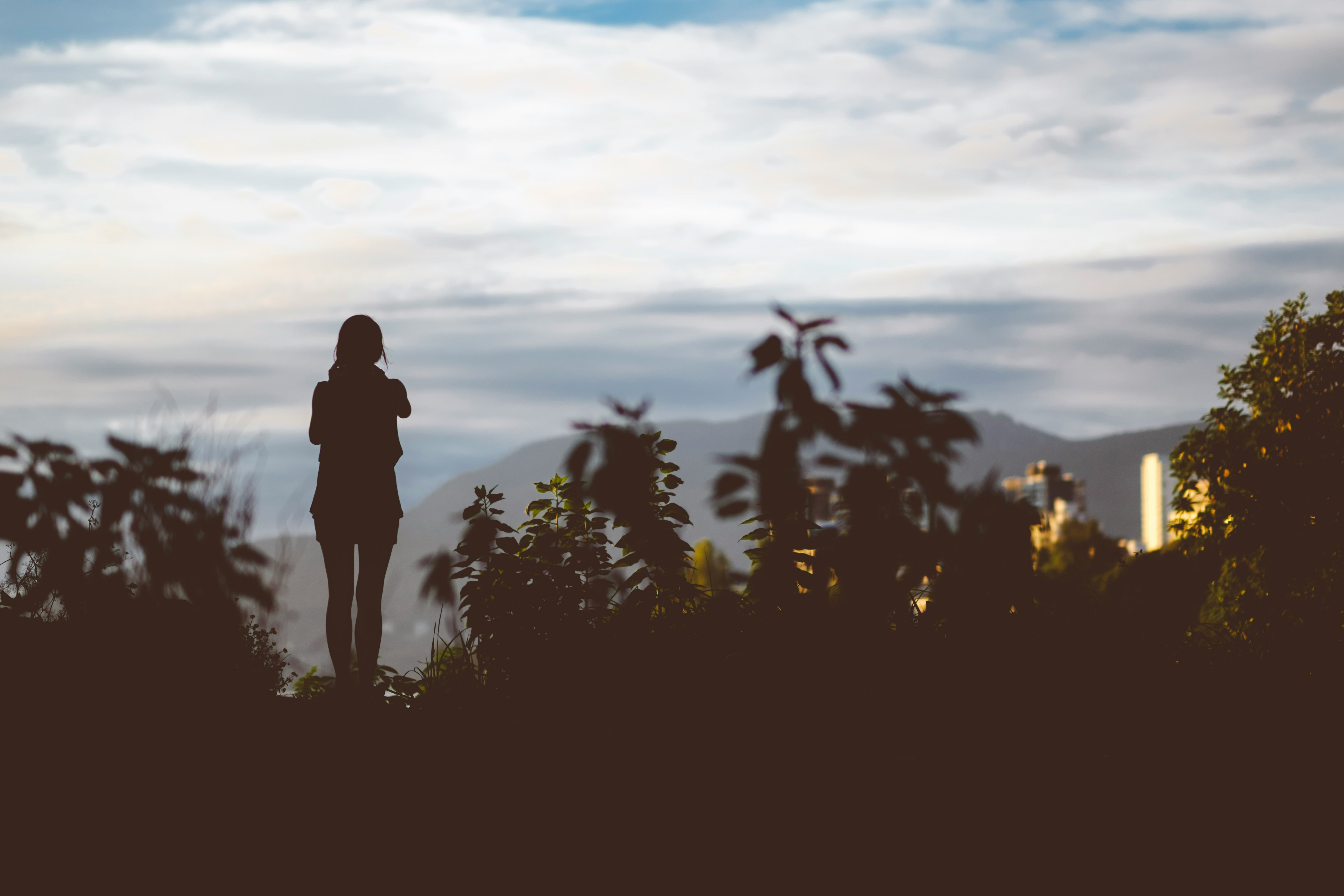 silhouette photo of woman standing near trees