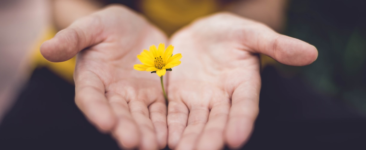 selective focus photography of woman holding yellow petaled flowers