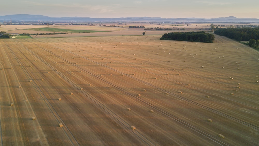 open fields surrounded with trees and grass