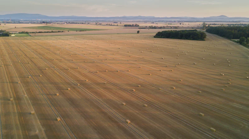 Harvest and crop field