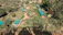 A well-maintained commercial garden with lush greenery and tidy pathways.