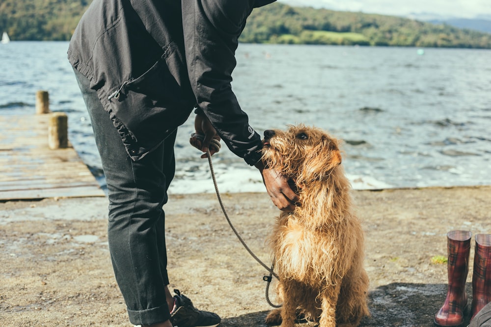 Mann und Hund stehen in der Nähe des Docks