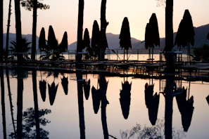 Serene view of a private pool reflecting olive trees and terracotta rooftops at sunset