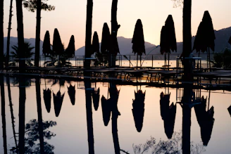 Serene view of a private pool reflecting olive trees and terracotta rooftops at sunset