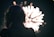 A silhouette of a person with curly hair is seen against a bright, bursting firework in the night sky.