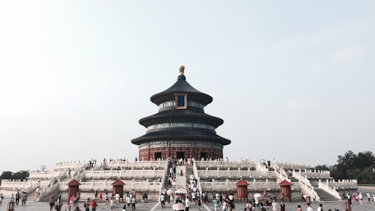 brown and white temple under clear blue sky in Temple of Heaven China