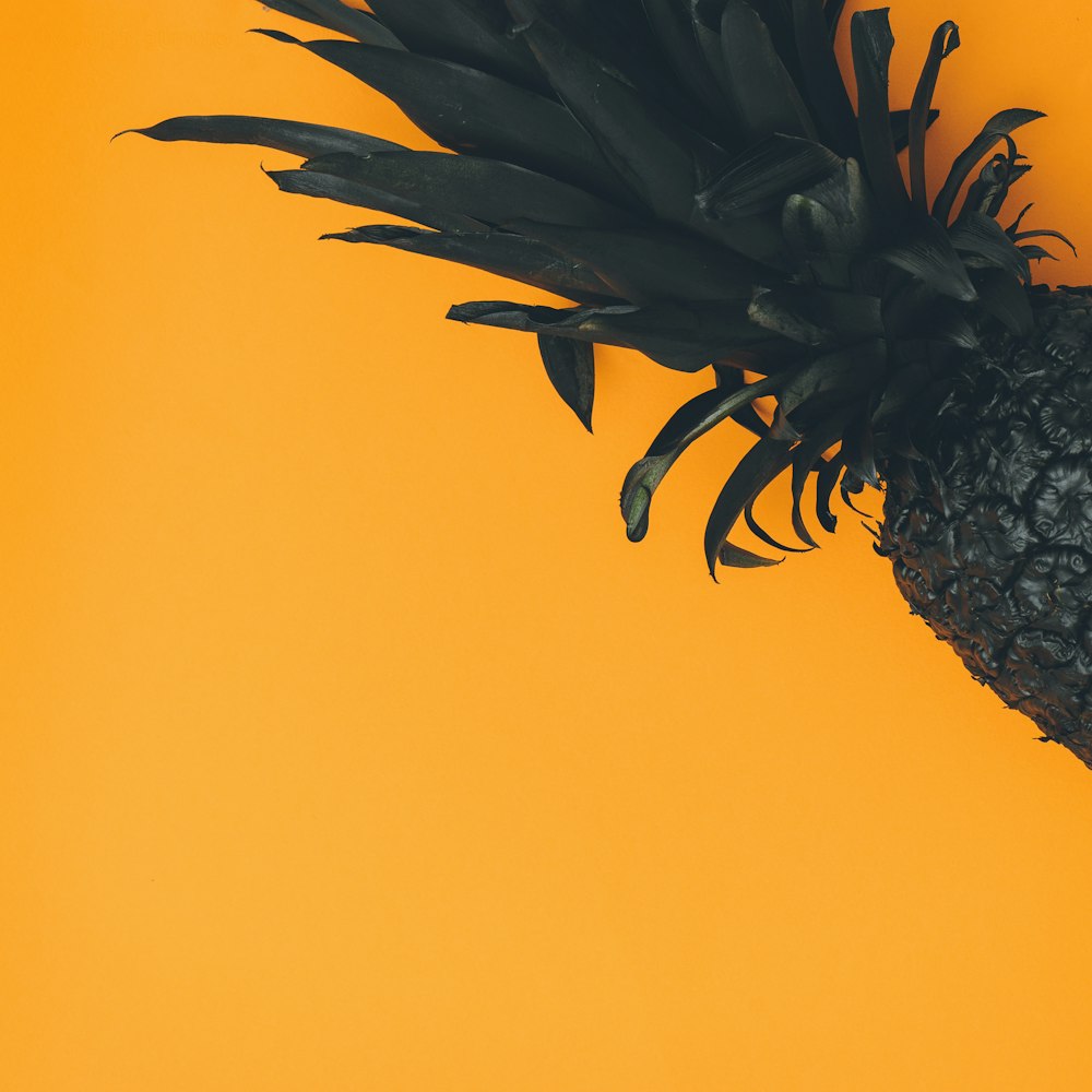 pineapple on orange background
