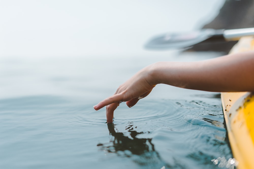 person touching body of water