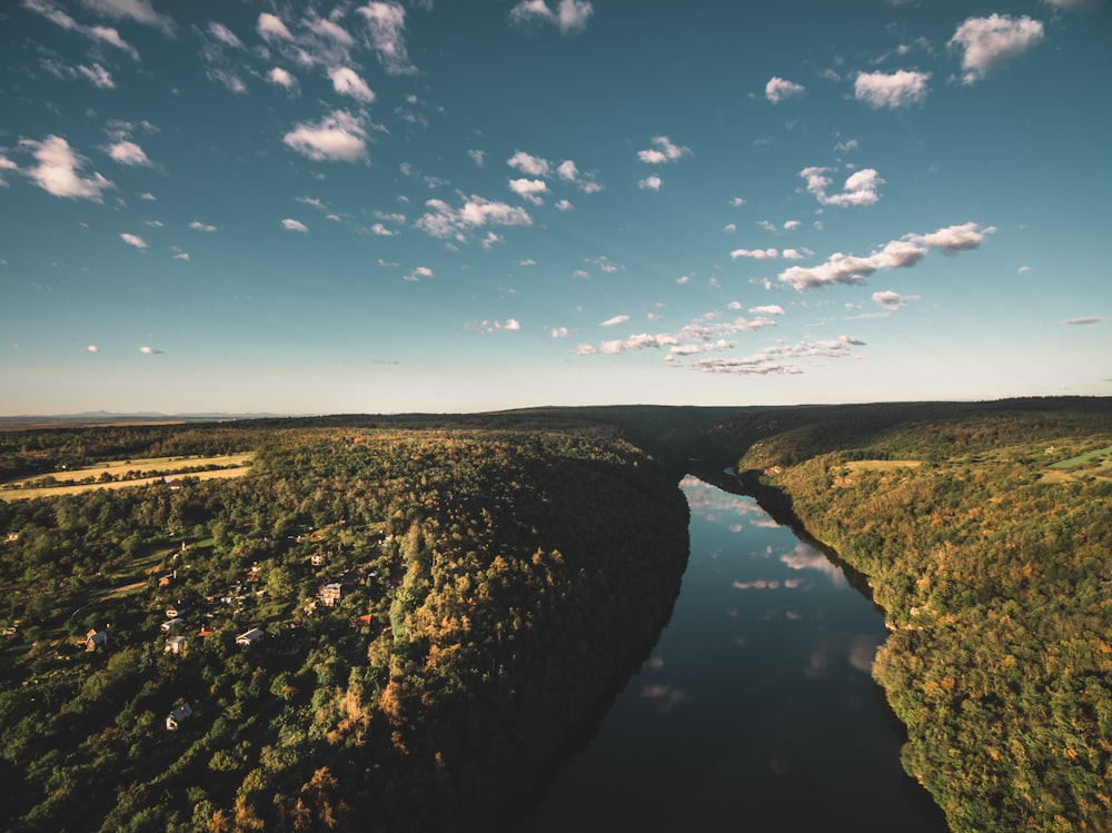 aerial photography of river near forest