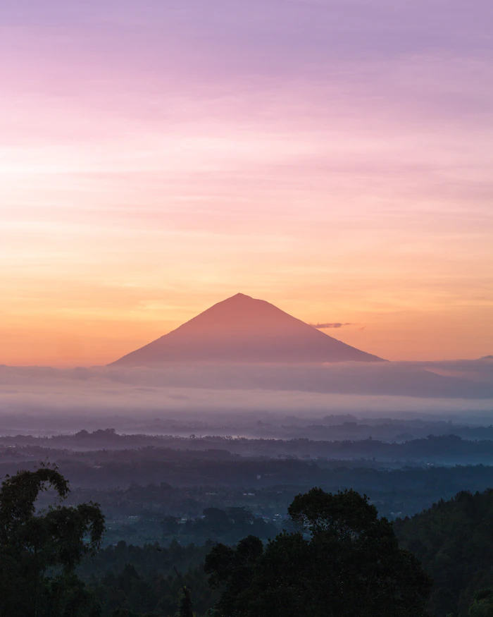 Lovina Dolphin Sunrise & Hot Springs — photo