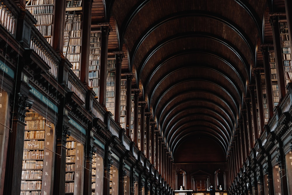 図書館の廊下の風景写真