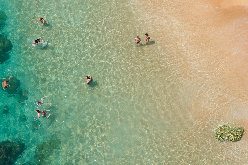 group of people at the sea during daytime