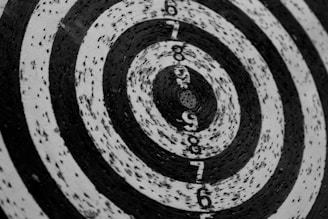 A black and white target with concentric circles featuring numbers counting down from the center. The surface appears worn and slightly damaged.