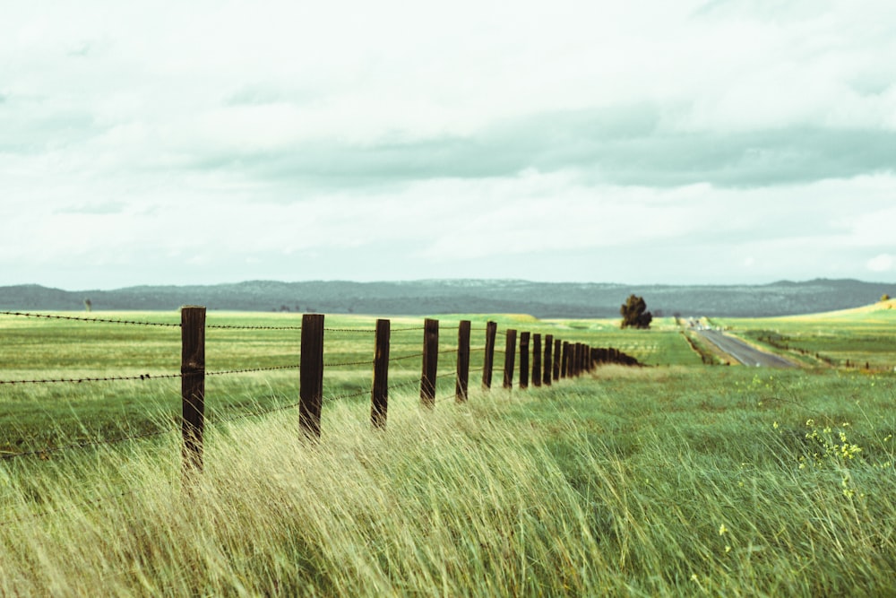 brown wooden farm posts