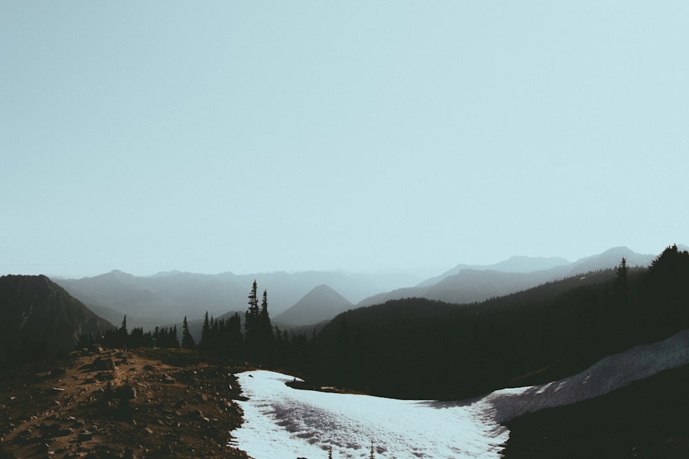 silhouette of foggy mountains covered by trees