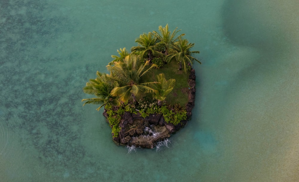 aerial photo of island with palm trees and rocks