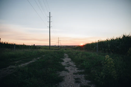A friendly farmer speaking on the phone in a rural field at sunset.
