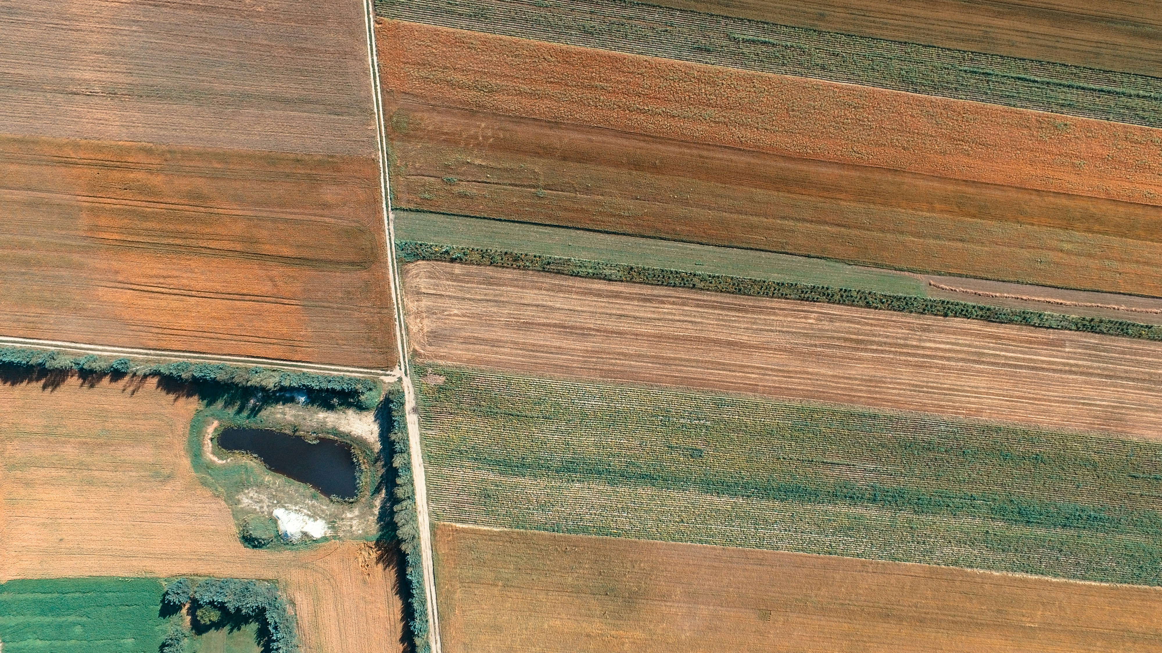 aerial photography of brown and green land