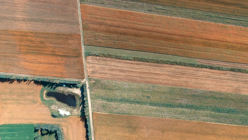 Fotografía aérea de tierras marrones y verdes