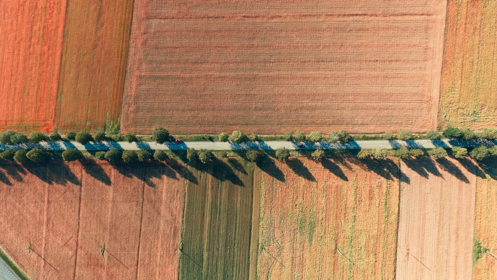 aerial view of green field