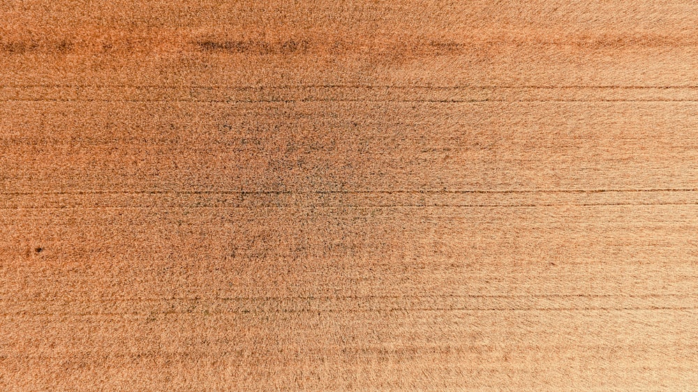 a close up of a piece of wood