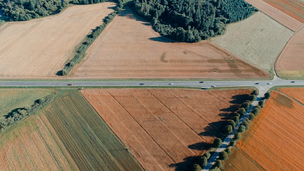 aerial photography of field during day time